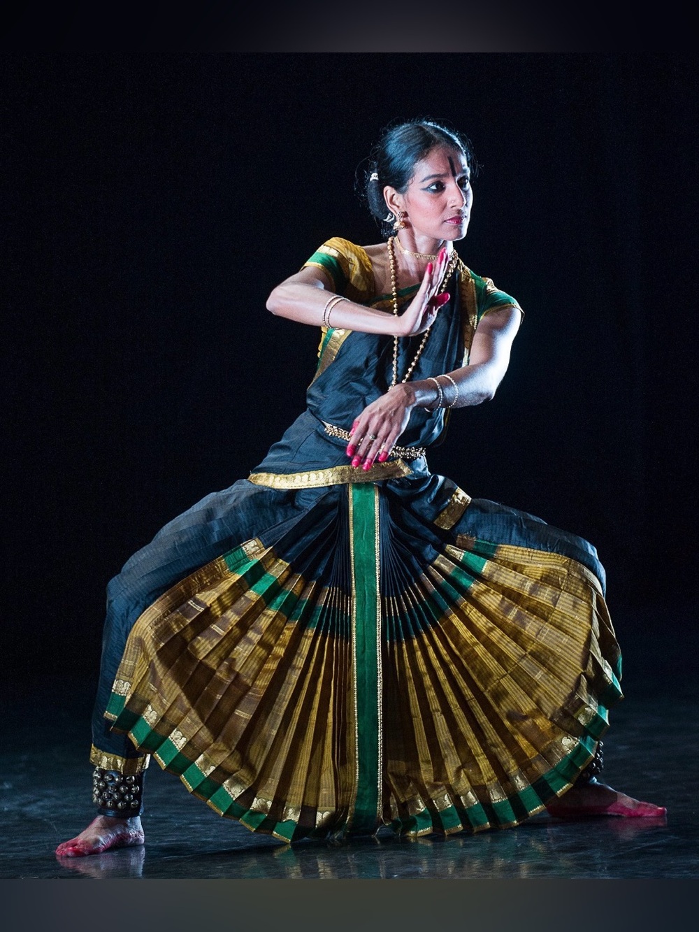 NWOT Bharatnatyam dress